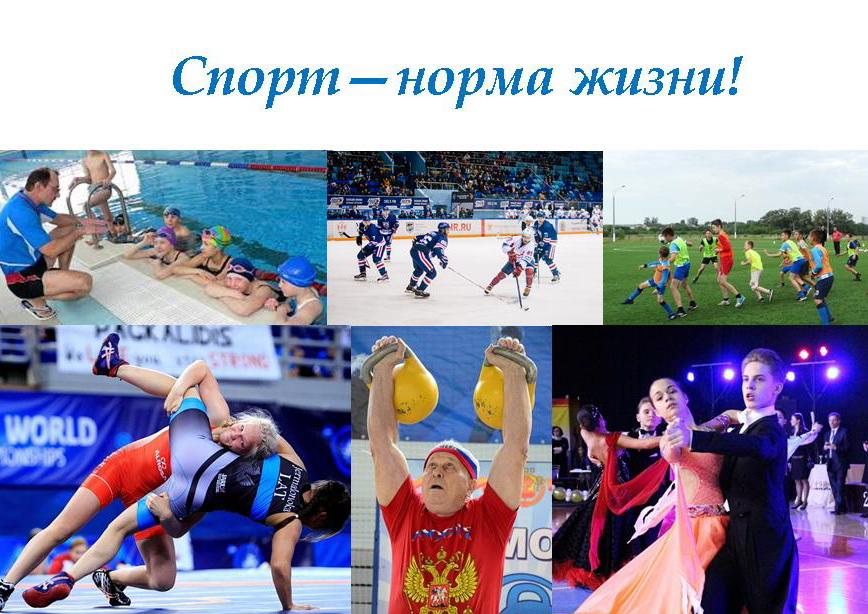 Каталог проектов спортивных сооружений министерства спорта Российской Федерации 
